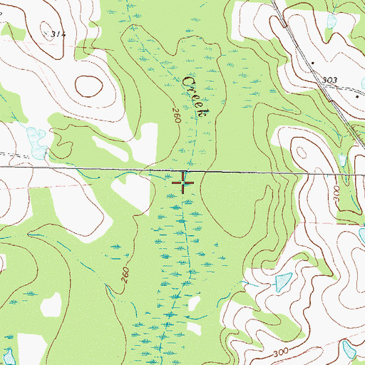 Topographic Map of Little Branch, GA