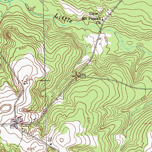 Topographic Map of Blueville, GA