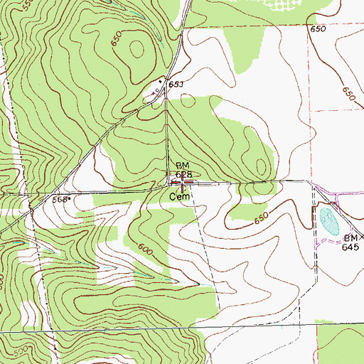 Topographic Map of Lieutenant Colonel Brewer Cemetery, GA