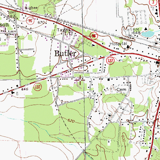 Topographic Map of Taylor County, GA
