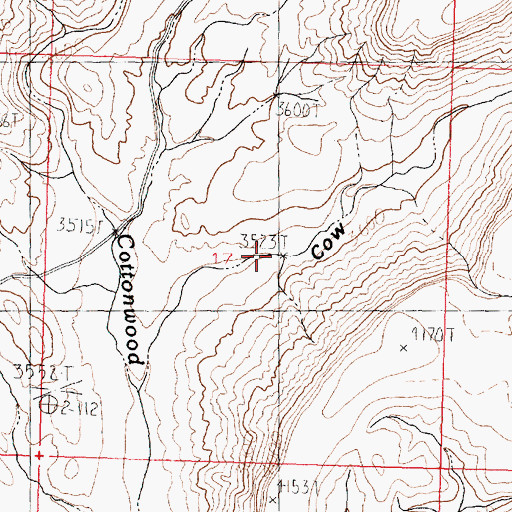 Topographic Map of Cow Canyon, AZ