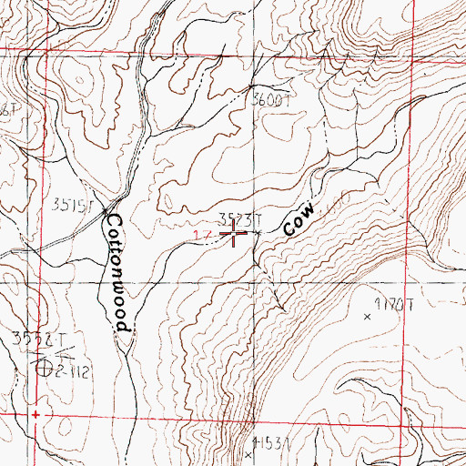 Topographic Map of Cow Canyon, AZ