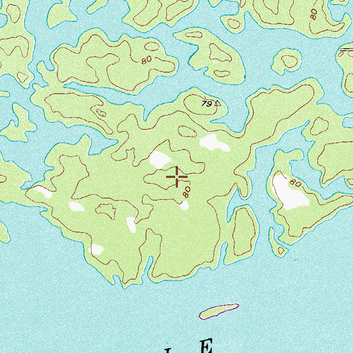Topographic Map of Fort Scott Island, GA