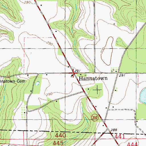 Topographic Map of Hannatown Church, GA