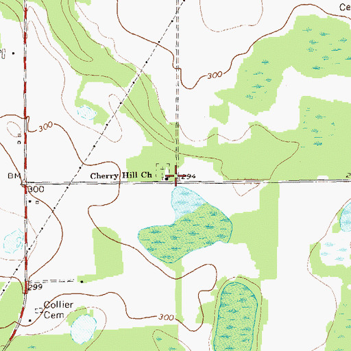 Topographic Map of Cherry Hill School, GA