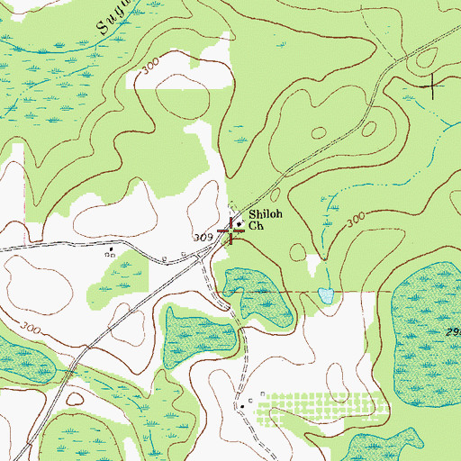 Topographic Map of Shiloh Cemetery, GA