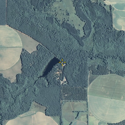 Aerial/Satellite Image of Crittenden Mill (historical), GA