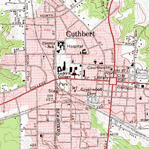 Topographic Map of Pitts Library, GA