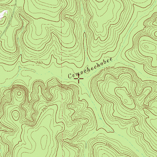 Topographic Map of Wolf Branch, GA