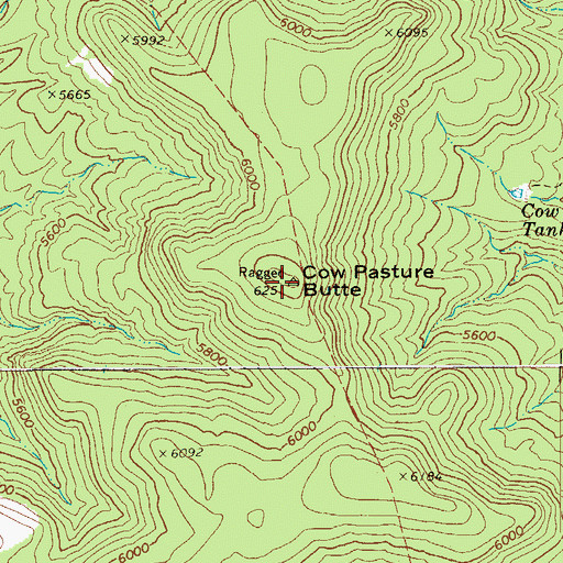 Topographic Map of Cow Pasture Butte, AZ