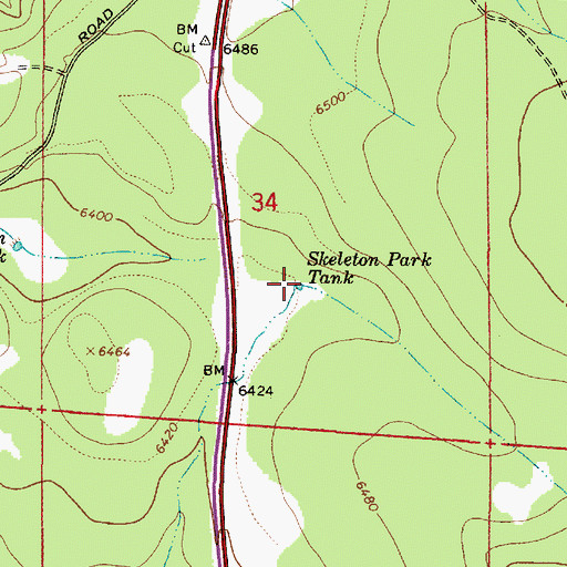 Topographic Map of Skeleton Park Tank, AZ