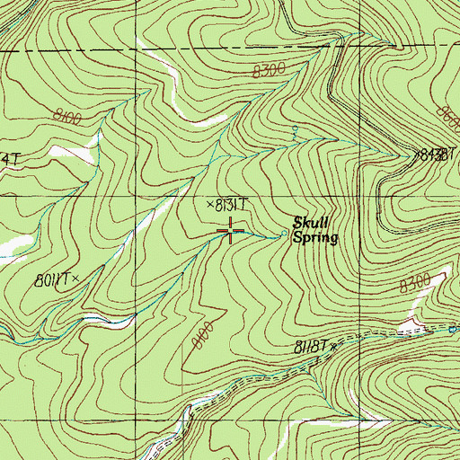 Topographic Map of Skull Spring, AZ