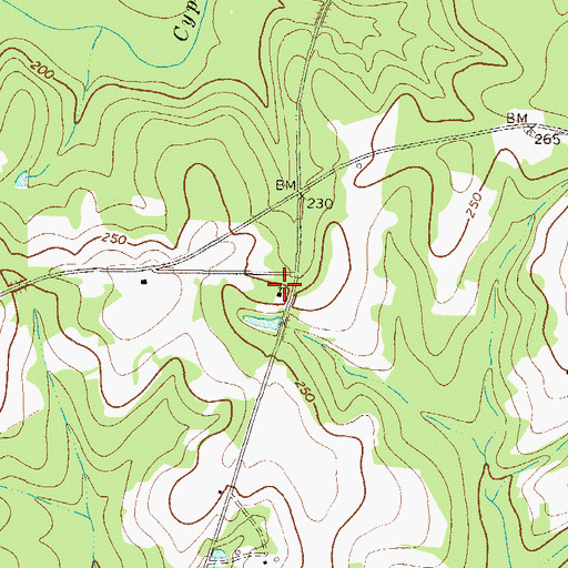 Topographic Map of Central Church, GA