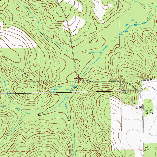 Topographic Map of Gooseberry (historical), GA
