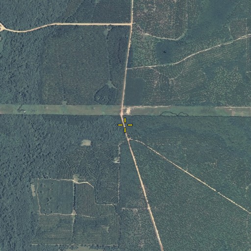 Aerial/Satellite Image of Sheffield Mill (historical), GA
