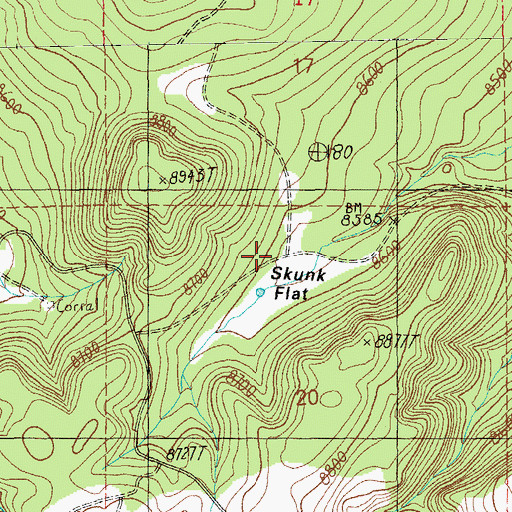 Topographic Map of Skunk Flat, AZ