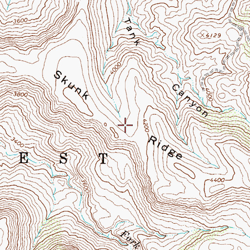 Topographic Map of Skunk Ridge, AZ