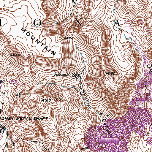 Topographic Map of Skunk Spring, AZ