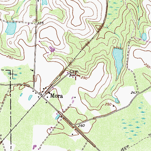 Topographic Map of Mora Cemetery, GA