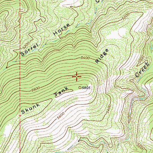 Topographic Map of Skunk Tank Ridge, AZ