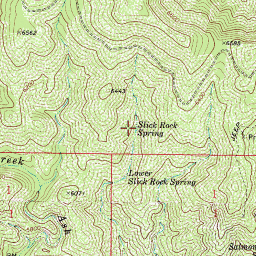 Topographic Map of Slick Rock Spring, AZ