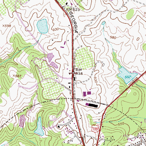 Topographic Map of Bragg, GA