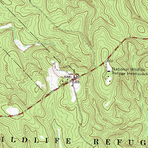 Topographic Map of Crutchfield Cemetery, GA