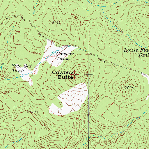 Topographic Map of Cowboy Butte, AZ