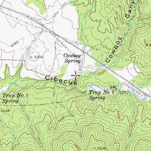 Topographic Map of Cowboy Canyon, AZ