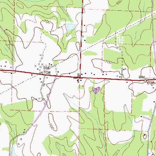 Topographic Map of Iron Springs School (historical), GA