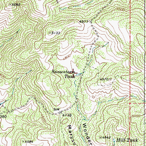 Topographic Map of Snowstorm Tank, AZ