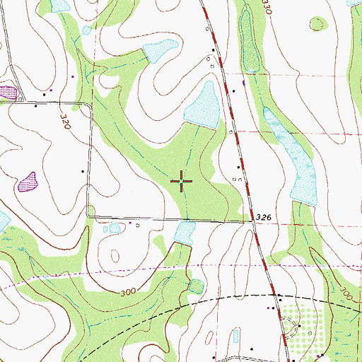 Topographic Map of Camp Branch, GA