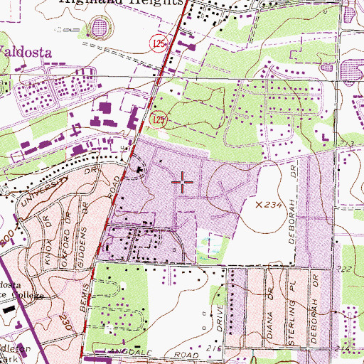 Topographic Map of Joree Springs, GA