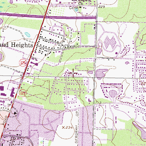 Topographic Map of South Ree Springs, GA