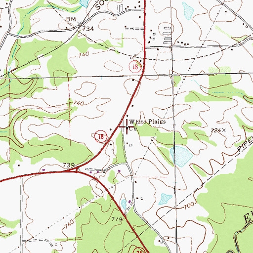 Topographic Map of White Plains Cemetery, GA