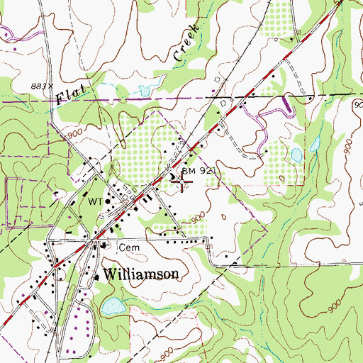 Topographic Map of Williamson Cemetery, GA