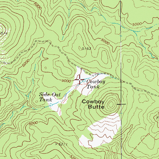 Topographic Map of Cowboy Tank, AZ