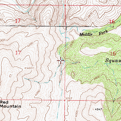 Topographic Map of South Fork Squaw Creek, AZ