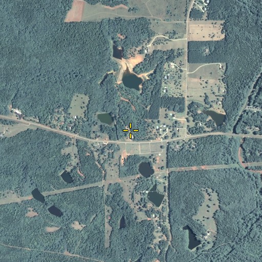 Aerial/Satellite Image of Cedar Grove School (historical), GA