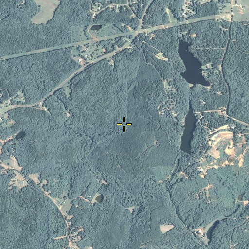 Aerial/Satellite Image of Flint River Cemetery, GA