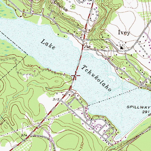 Topographic Map of McCook Bridge, GA