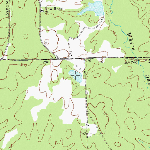 Topographic Map of Blue Pond, GA