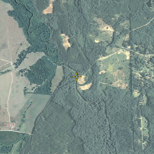 Aerial/Satellite Image of White Oak Creek Covered Bridge, GA