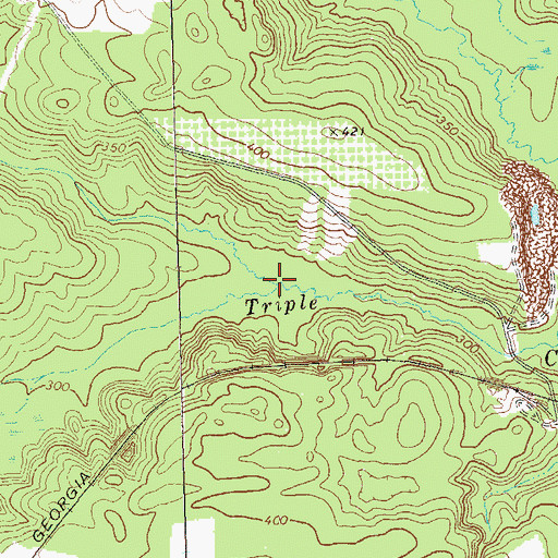 Topographic Map of Boggy Branch, GA
