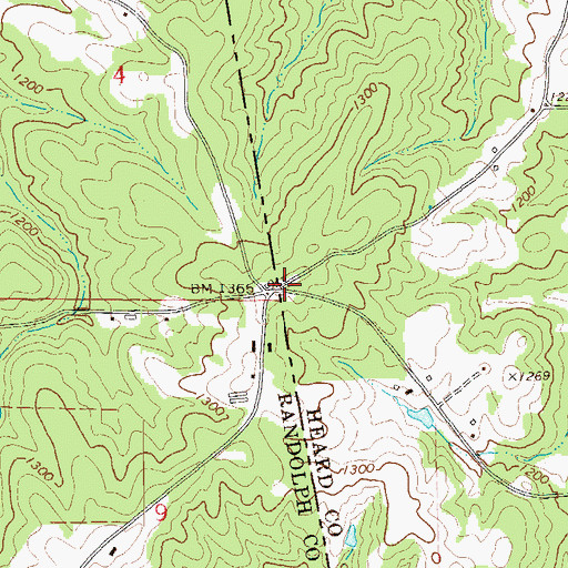 Topographic Map of Burgess, GA