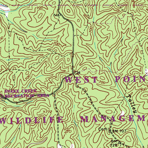 Topographic Map of Capstan (historical), GA