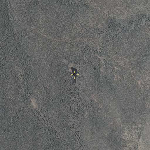 Aerial/Satellite Image of Cox Corral Tank, AZ