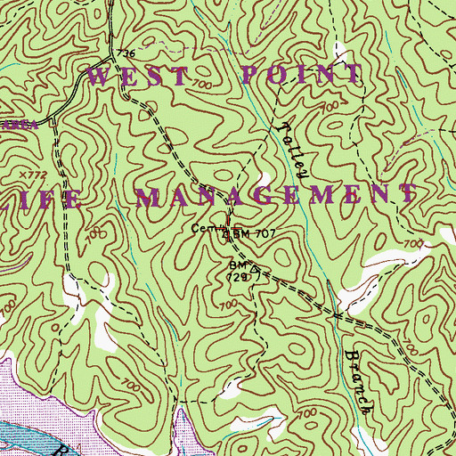 Topographic Map of Old Harmony Cemetery, GA