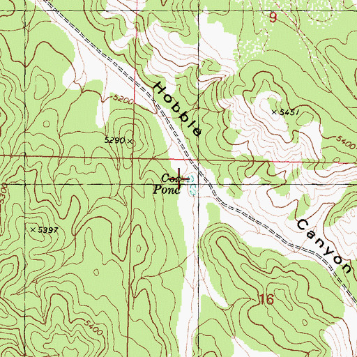 Topographic Map of Cox Pond, AZ