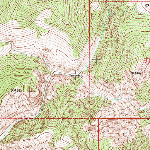 Topographic Map of Spring Creek, AZ